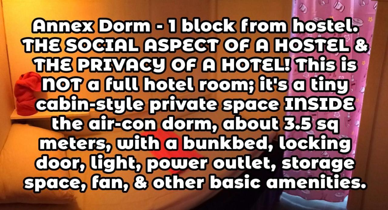 Wild & Wandering Backpacker Hostel & Bar هاد رين الغرفة الصورة