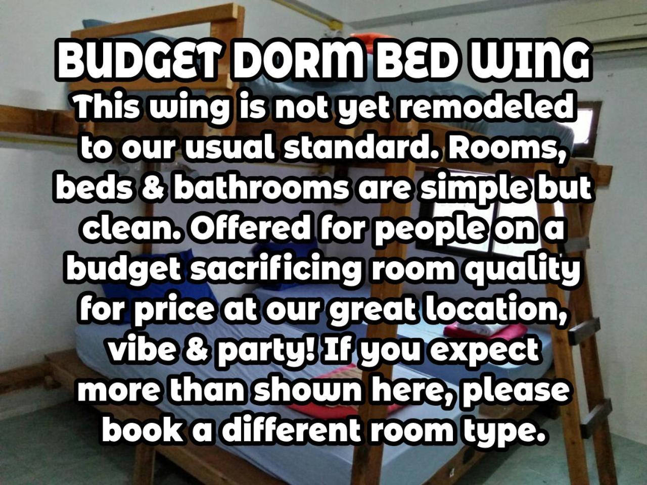 Wild & Wandering Backpacker Hostel & Bar هاد رين الغرفة الصورة